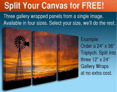 Three Piece Canvas Photo Splits. A powerful and contemporary way to display your photos.