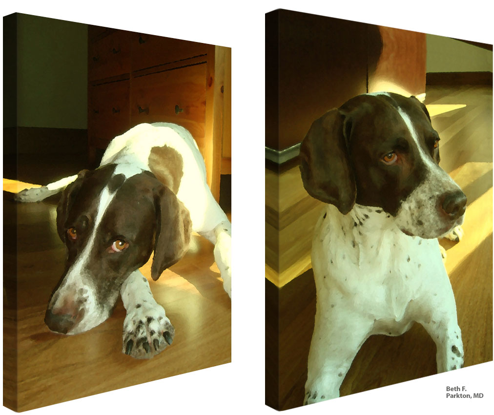 Canvas Photos By Imagine Canvas.