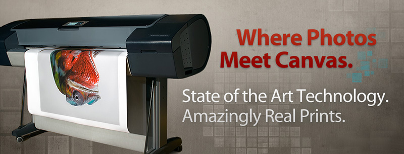 Professional Photo Canvas Prints.