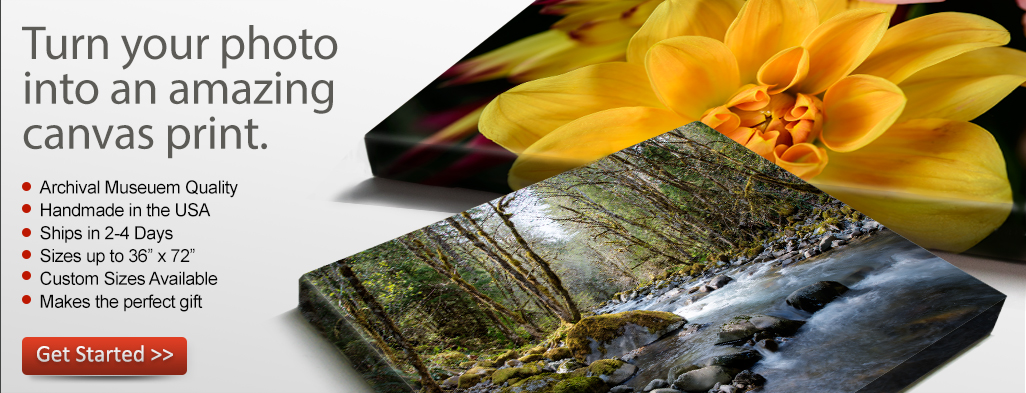 Modern Canvas Art Prints and Canvas Photo Prints.