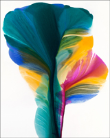 Abstract Floral - Teal, Pink, Yellow Painting.