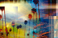 Palm City - Abstract Art, Beach Art, Photography.